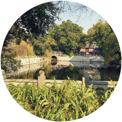 crossout创世战车测试服手游下载